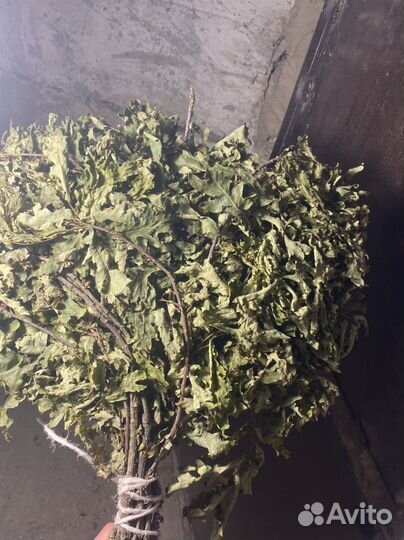 Веники дубовые