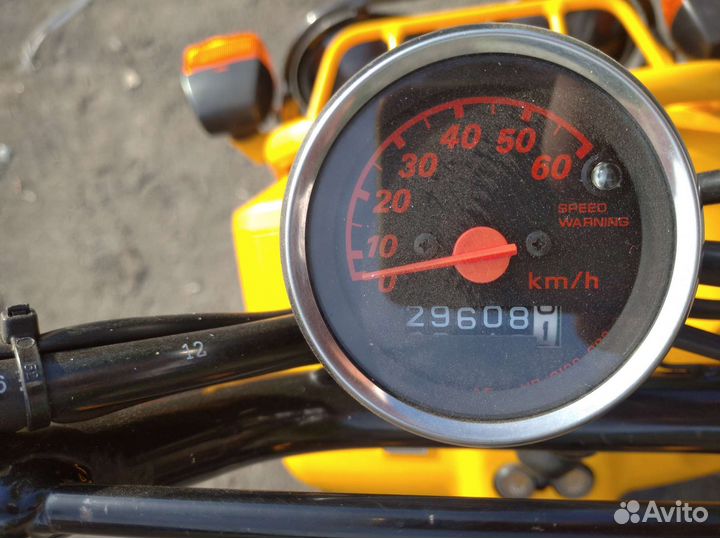 Honda zoomer 49