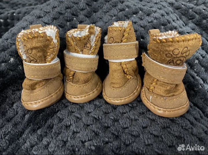 Обувь для собак