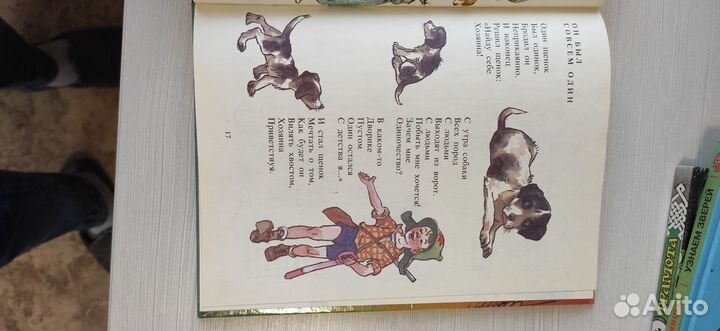 Красочные детские книги большого формата