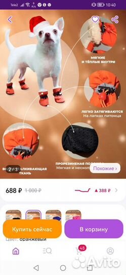 Обувь дня мелких собок