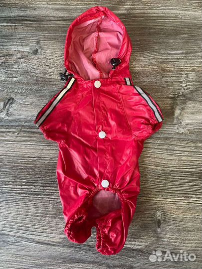 Костюм на маленькую собачку