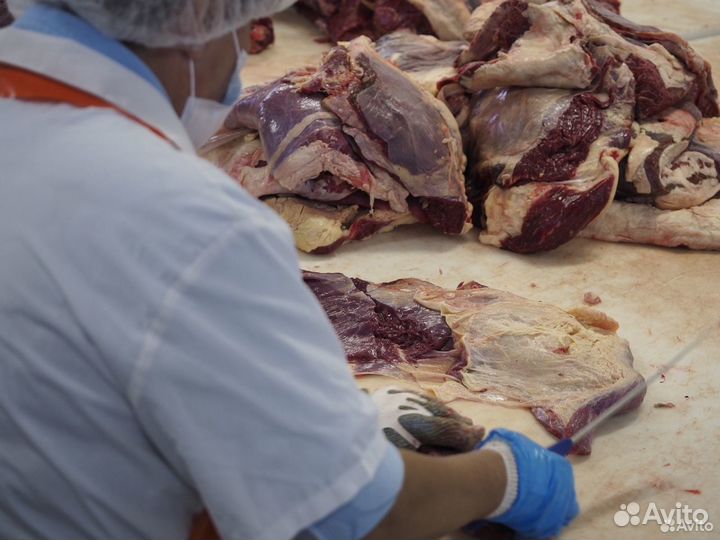 Ищу инвестора в завод, доход 36348 в мес