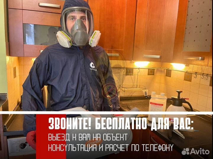 Уничтожение тараканов, уничтожение клопов, дезинсе