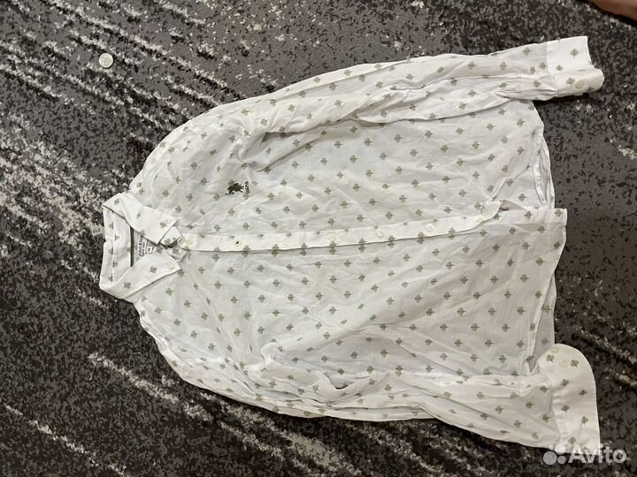 Рубашка uspa polo