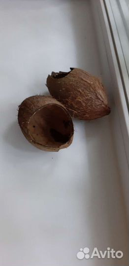 Скорлупа кокоса натуральная