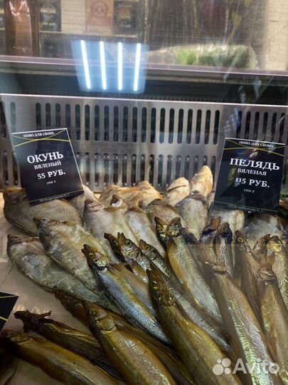 Готовый бизнес Пивной Паб