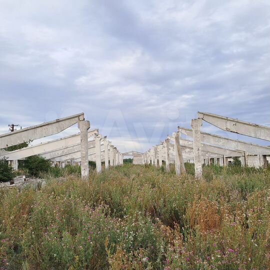 Ферма 3900 м² + каркас 1500 м²