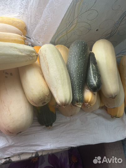 Кабачки свежие