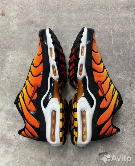 Nike Air Max Plus Black/Pimento-Bright Ceramic