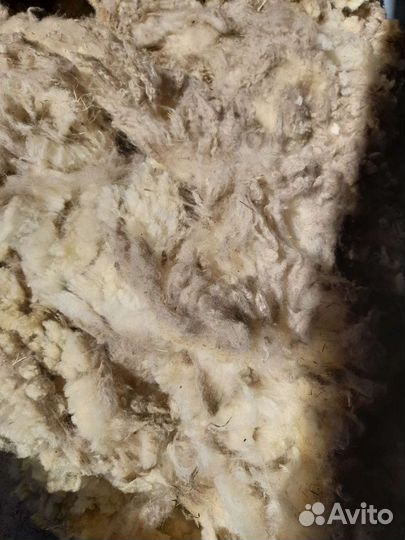 Шерсть овечья