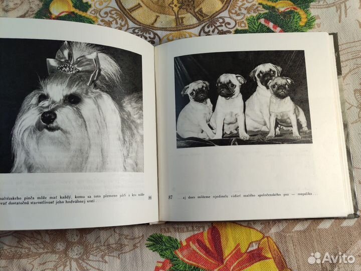 Братиславская книга про собак (псов)