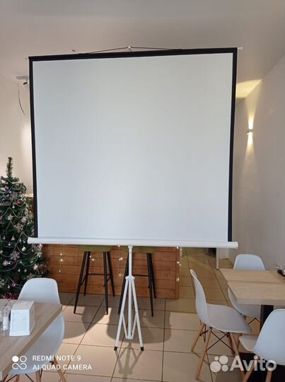 Прокат проекционного экрана