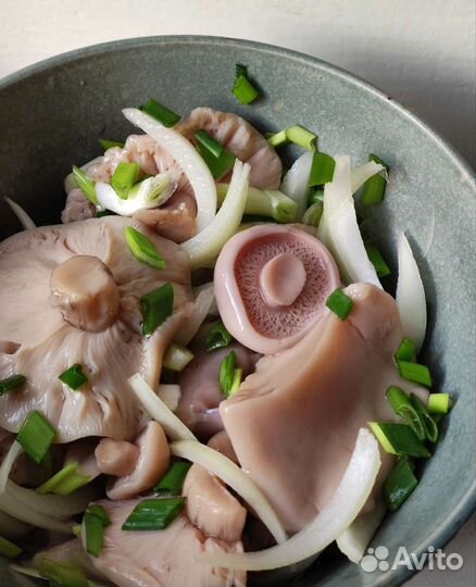 Грибы маринованные