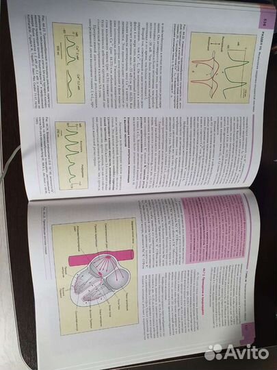 Фундаментальная и клиническая физиология