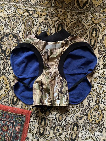 Одежда для собак