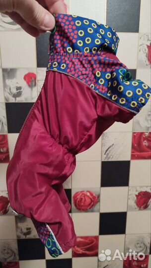 Одежда для мини йорка