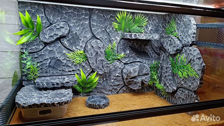 Террариумы и фоны в наличии и под заказ