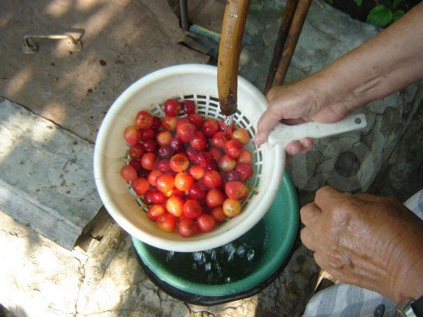 Дом 31,9 м² на участке 7 сот.