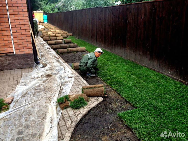 Рулонный газон от производителя - укладка