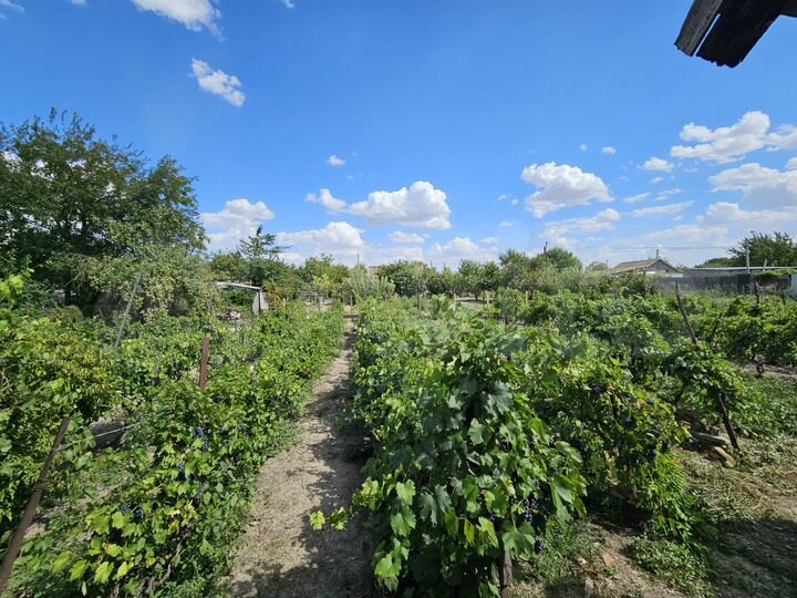 Дом 80 м² на участке 20 сот.