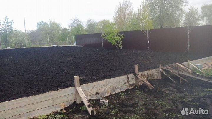 Рулонный газон. Укладка, продажа