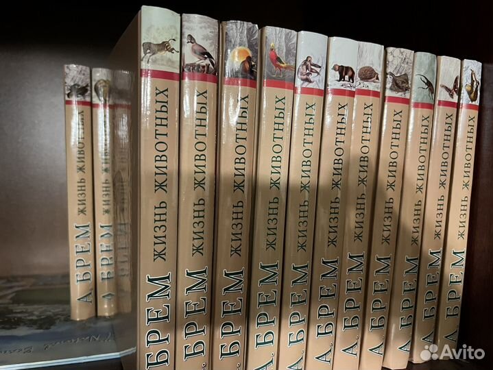 Коллекция книг 24 тома Альфред Брем Жизнь животных