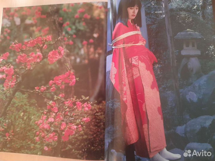 Альбом Араки Nobuyoshi Araki: Jyouji