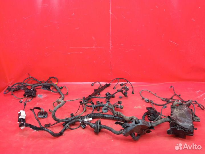 Проводка моторного отсека Kia Rio 4 2017