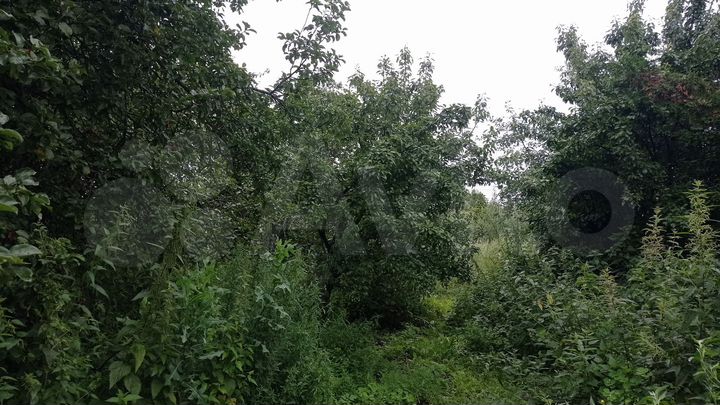 Дом 54 м² на участке 30 сот.