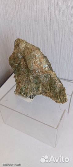 Актинолит в тальке. Слюдорудник.Южный Урал.№458