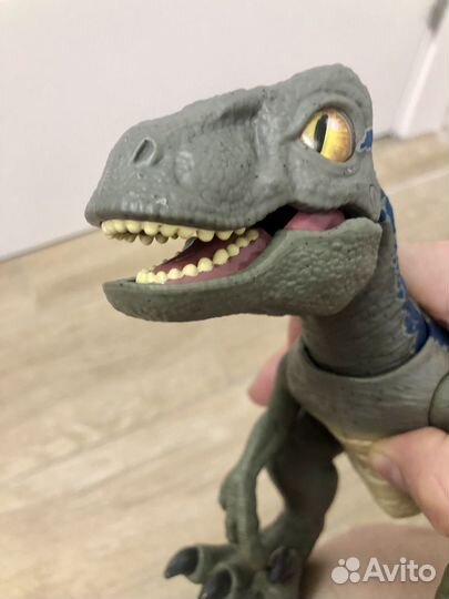 Динозавр jurassic world Блю GFD40