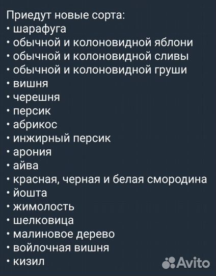 Саженцы ширафуга персик жимолость