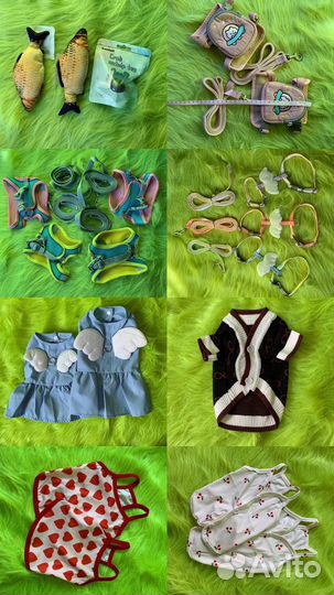 Вещи для животных