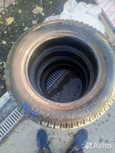 18565 r15 зимняя резина шипованная