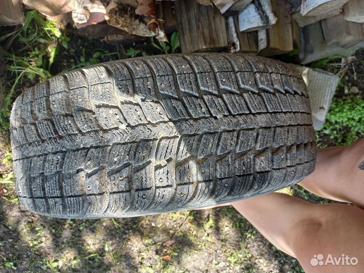 Federal Himalaya WS2 195/55 R15