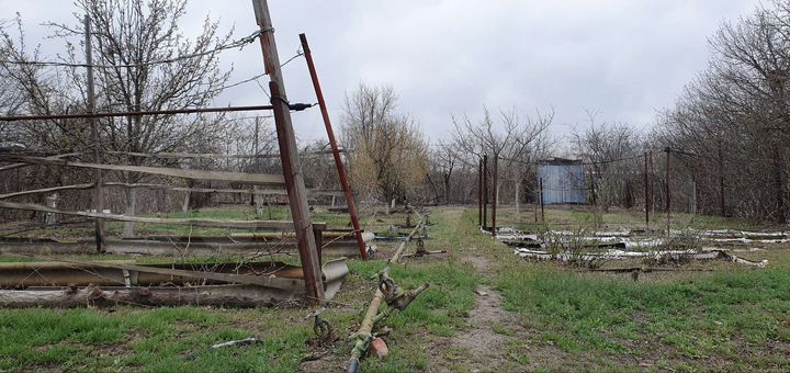 Участок 6 сот. (СНТ, ДНП)