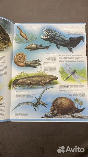 Детская энциклопедия