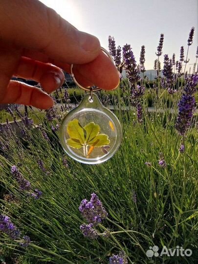 Талисман четырех пяти шести листный