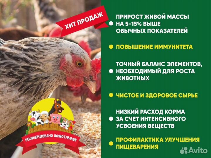 Просо красное