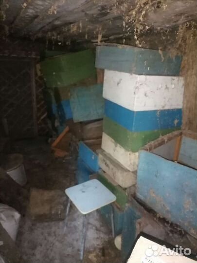 Магазины для ульев