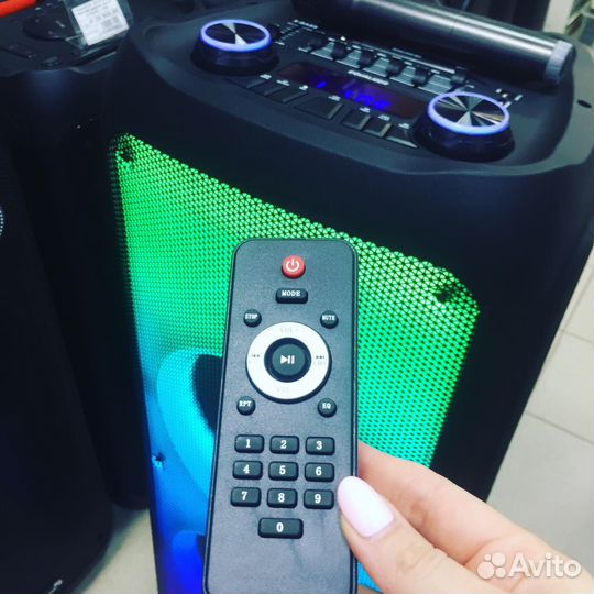 Колонка Eltronic 20-56 1500W 2 микрофона
