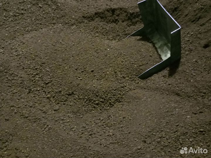 Чага березовая от сборщика