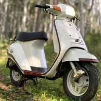 Suzuki Gemma questo 50