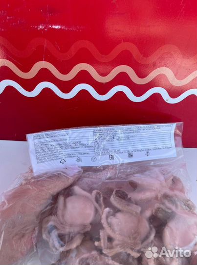 Осьминоги молодые / опт