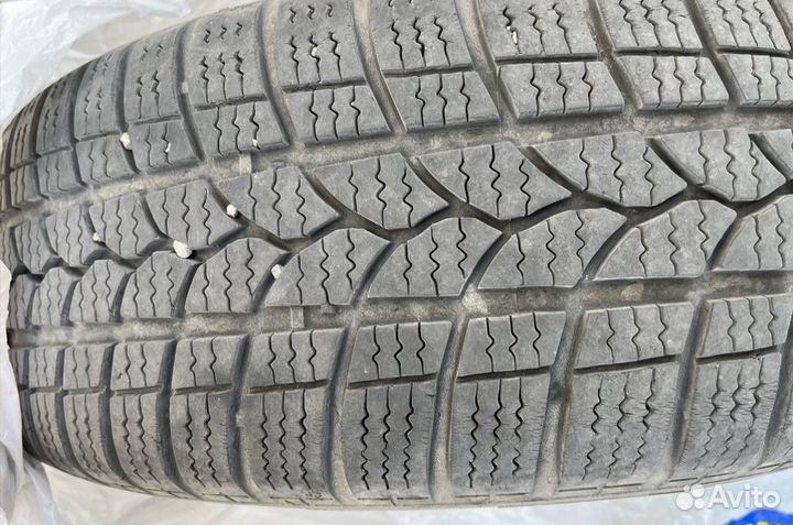 Tigar Winter 1 185/65 R15