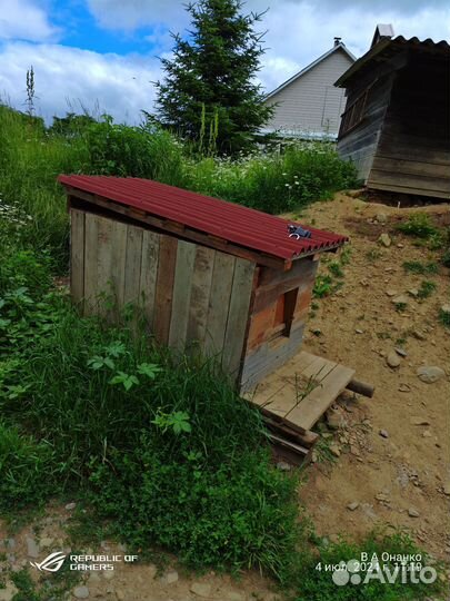 Будка утеплённая для большой собаки