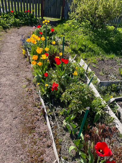 Дом 36 м² на участке 13 сот.