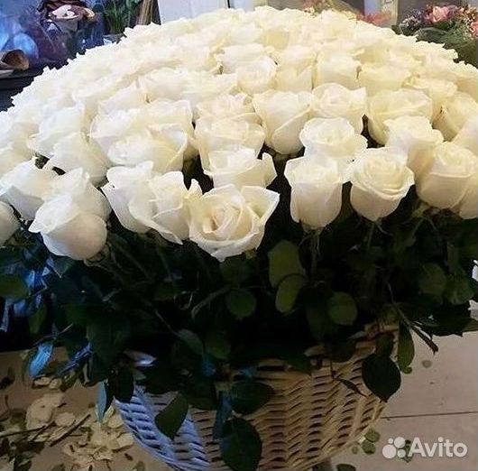 Букет роз 101 роза 51 роза