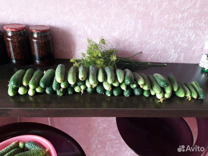 Огурцы и помидоры